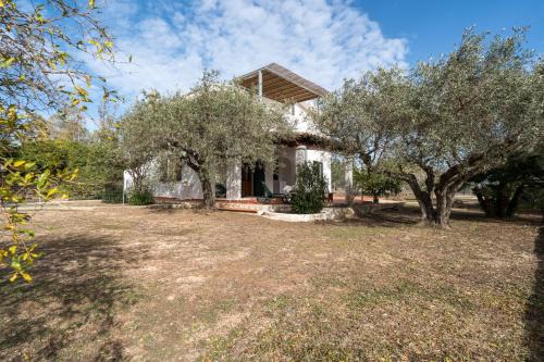Orosei Casa | Villa Francesco P Terra