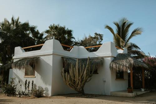 Todos Santos Villa | Villa Gardenia - Oceanview Villas w Pool