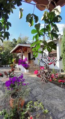 Curiti Casa | Villa Helena