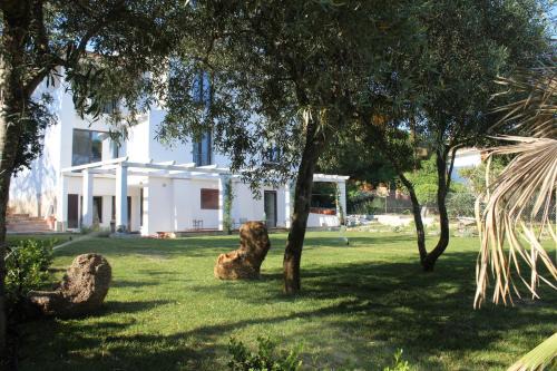 Cala Liberotto Cama Y Desayuno | Villa La Conchiglia Rooms