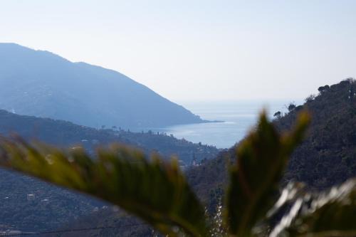 Recco Apartamento | Villa Le Macine