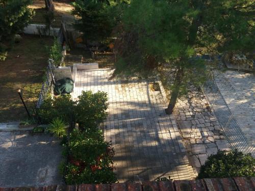Vico del Gargano Casa | Villa Le Rose