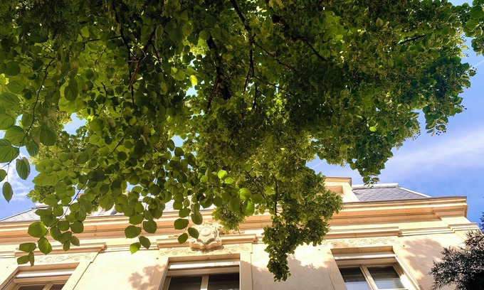 Poincare - Foch - Anatole France - Croix de Bourgogne Villa | Villa Lepois & Spa 5 *****