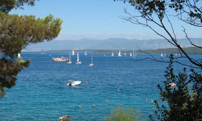 Vantacici Apartamento | Villa Maslina