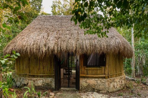 Cozumel Otro | Villa Maya - Glamping - Natural Reserve
