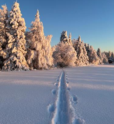 Rukatunturi Casa | Villa Metsälä