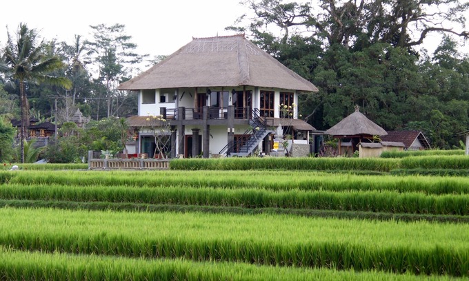 Sambahan Villa | Villa cerca de Ubud, vista panorámica de los campos de arroz y el volcán
