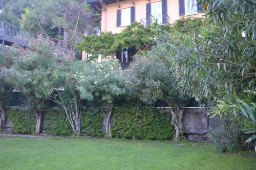 Carate Urio Cama Y Desayuno | Villa Nina Relais Boutique B&B