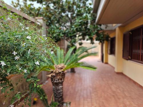 Partanna Casa | Villa Nino