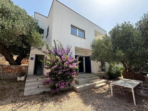 Makarska Villa | Villa Oleana