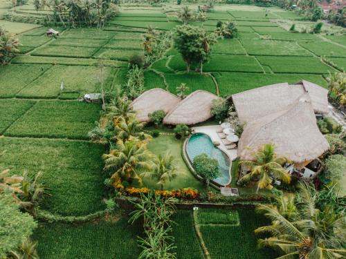 Singakerta Villa | Villa Omah Padi Ubud by Adam Jyota Management
