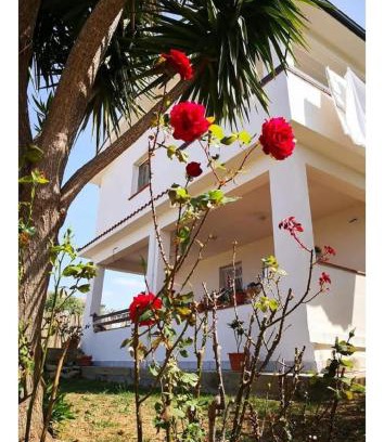 Altavilla Milicia Villa | Villa panoramica con Piscina