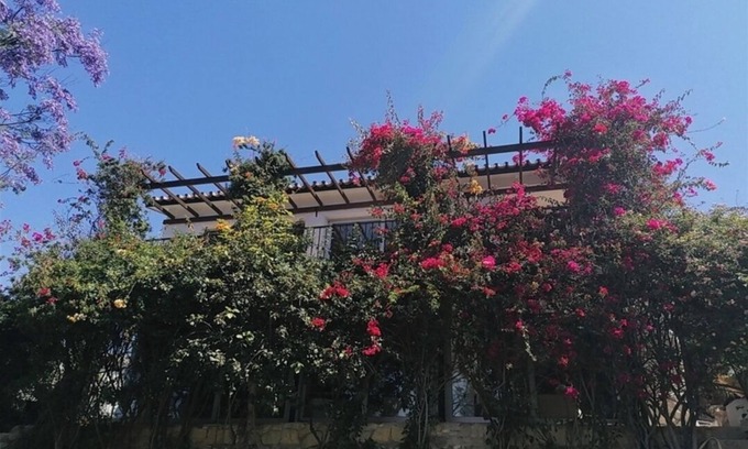 Torreblanca Villa | Villa Privée Avec Jardin Luxuriant et Piscine