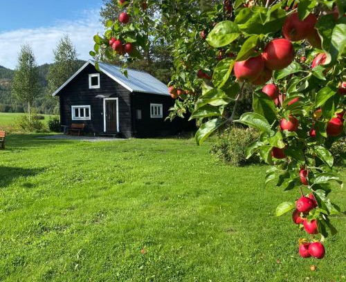 Hammarstrand Casa | Villa Ragunda
