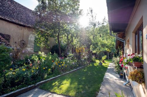 Richis Casa | Villa Rihuini Eco Wine house Transylvania