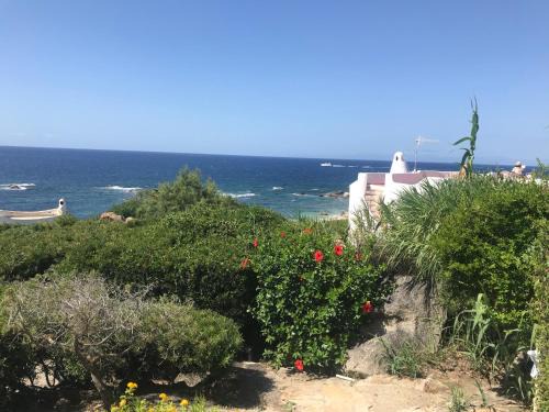 San Stefano Casa | Villa Satta