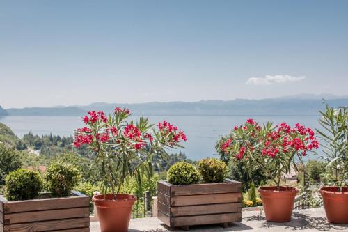 Ohrid Casa | Villa Stefanoski