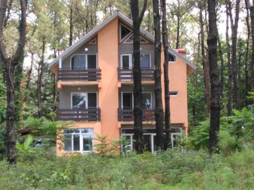 Shekhvetili Casa | Villa Vachnadze