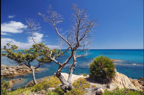 Cala Liberotto Casa | Villa Vera trifamigliare con ingresso diretto 20 mt al mare clima wi-fi bbq