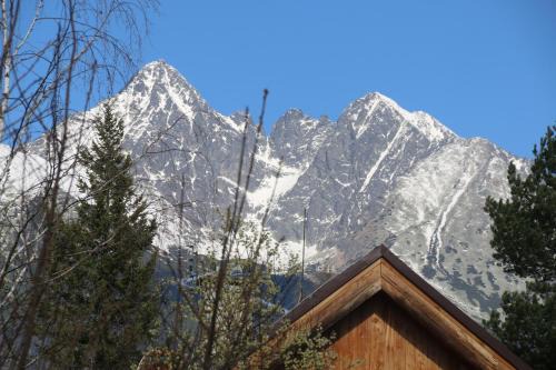 Stara Lesna Apartamento | Villa Veronika