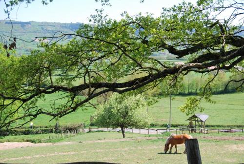 Montagny-sur-Grosne Casa | Village.insolite