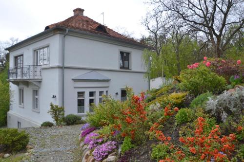 Lagow Casa | Villarada