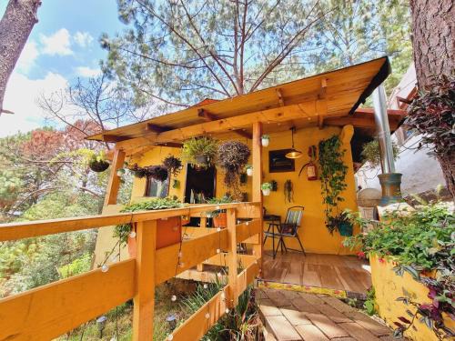 Mazamitla Cabina | Villas De Los Pinos 2