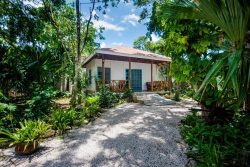 Colonia Andres Apartamento | Villas El Encanto Cozumel