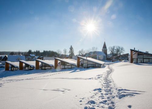 Neuastenberg Casa | Villas Winterberg