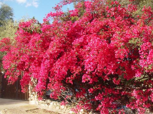 Cala Sinzias Casa | Villetta a 300mt dal mare Cala Sinzias
