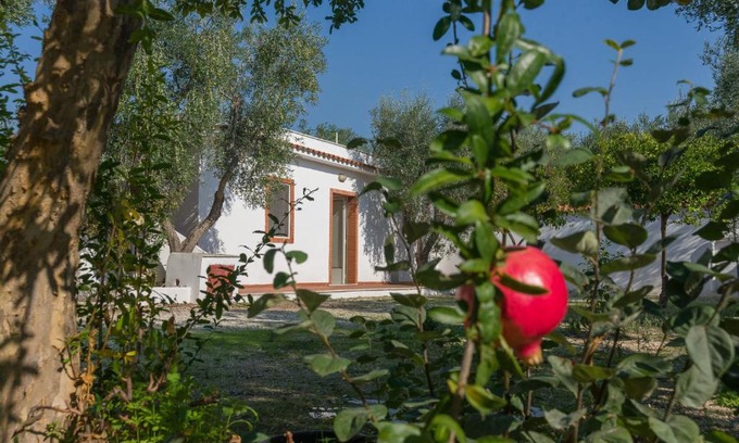 Mattinata Villa | Villetta Miramare