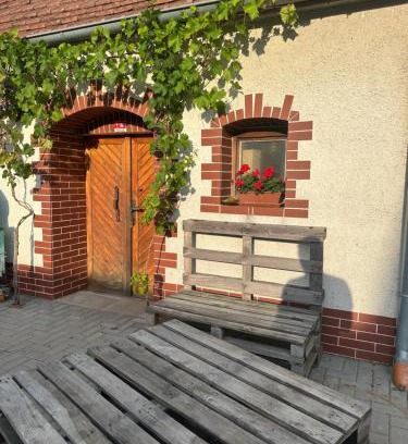 Starovicky Apartamento | Vinařství Adamevino