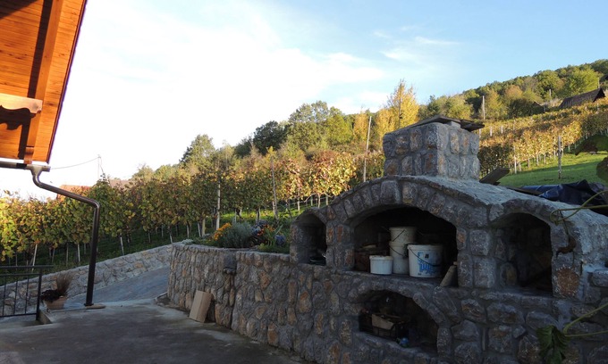 Trebnje Casa | Vineyard cottage Pod piramido