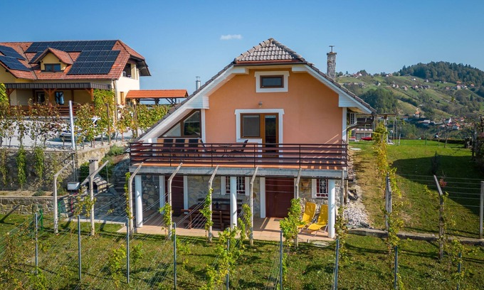 Bostanj Casa | Vineyard Cottage Urban, Mirna, Slovenia