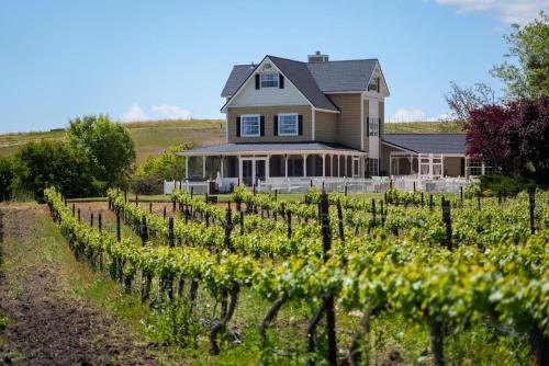 Templeton Casa | Vineyard Retreat