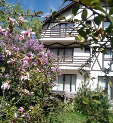 Busteni Villa | Vintage House Busteni