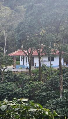 Virarajendrapet Casa | Vintara Homestay