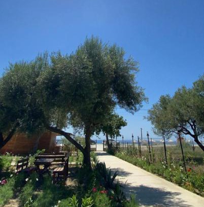 Qazim Pali Complejo | Violet Village