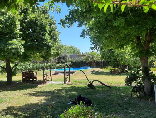 Cuadro Nacional Casa | Vista Verde