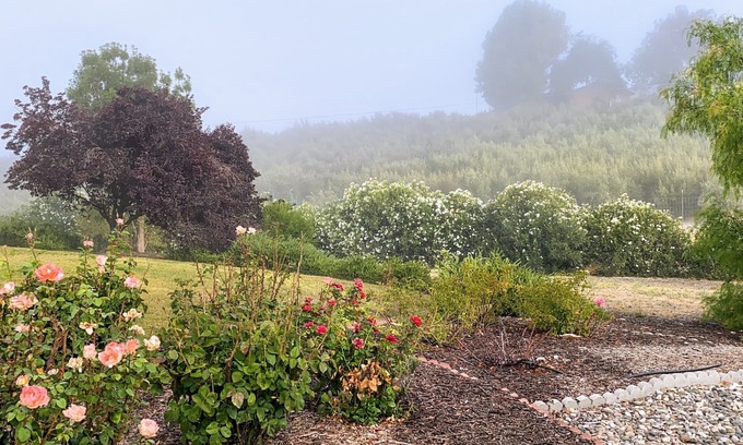 San Miguel Casa | Vista Vine Cottage-Vista Views of Olive Orchards and Vineyards for Miles!