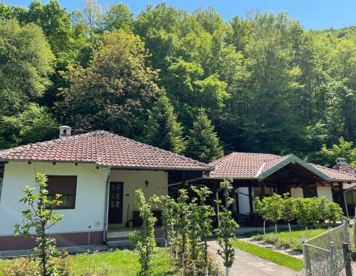 Central Serbia Casa | Vitez Koja