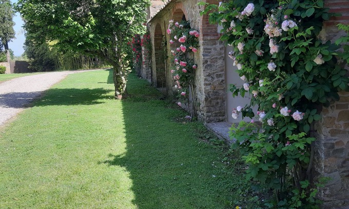 Le Piazze Casa | Tenuta di Vitiano - Arezzo (área)