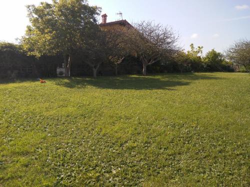 Suances Apartamento | vivienda la palmera