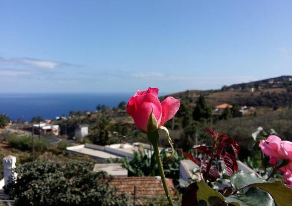 Santa Cruz de la Palma Casa | Vivienda vacacional La Graja
