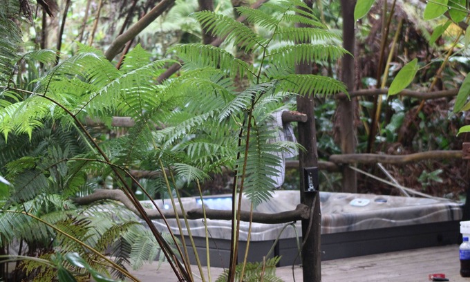 Volcano Cabina | Volcano Rainforest Retreat with a Hot Tub