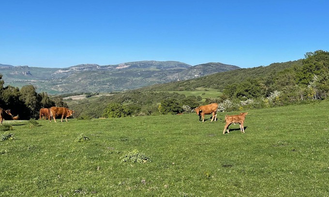 Contessa Entellina Casa | Vrbo Property