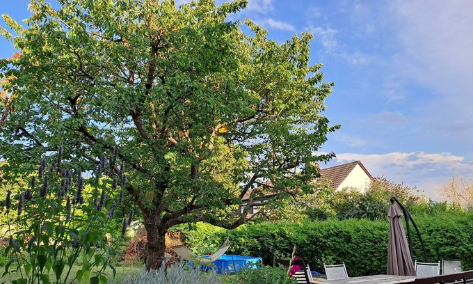 Grafschaft Apartamento | Vrbo Property