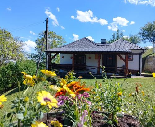 Central Serbia Casa | Vujanac vikend kuća
