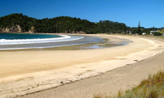 Ngunguru Cabina | Waiotoi NZ - El escondite de Bush