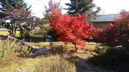 Kikugawa Casa | Wakihonjin